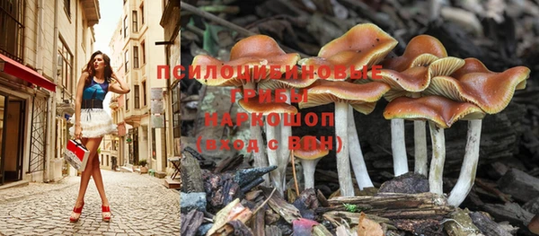 экстази Инта