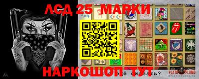 гидропоника Ставрополь