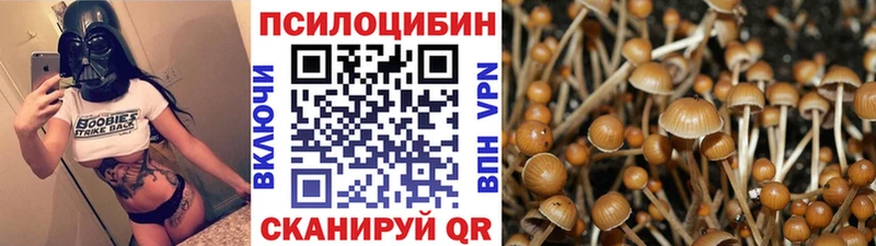 даркнет сайт  Урай  Галлюциногенные грибы мицелий 
