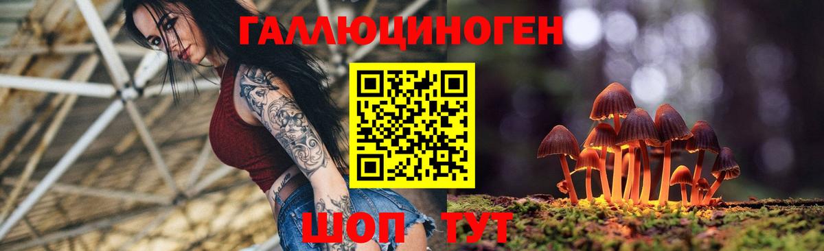 Галлюциногенные грибы Cubensis Урай
